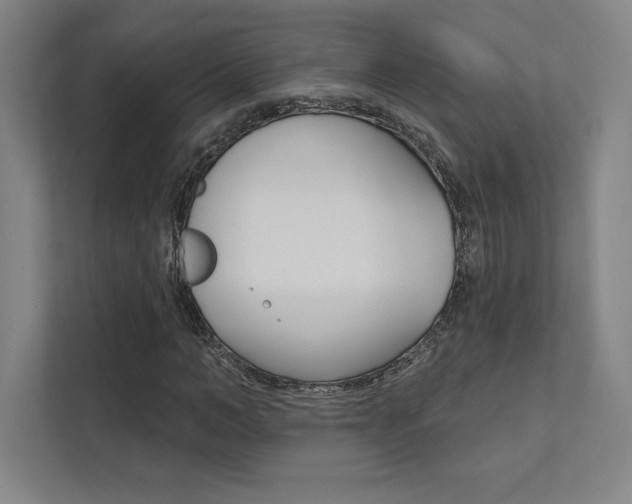 X0000112030966200908031019