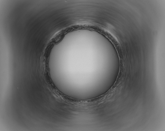 X0000112030968200908031019