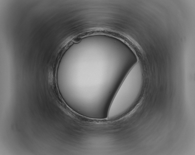 X0000112030969200908031019