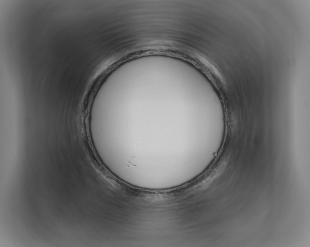 X0000112030970200908031019