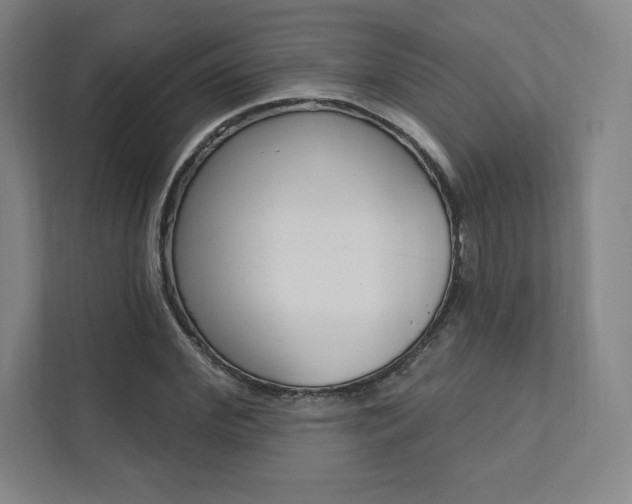 X0000112030972200908031019