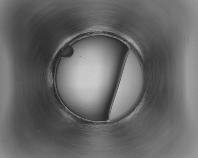 X0000112030973200908031019