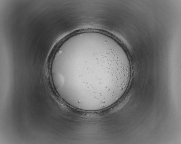 X0000112030974200908031019