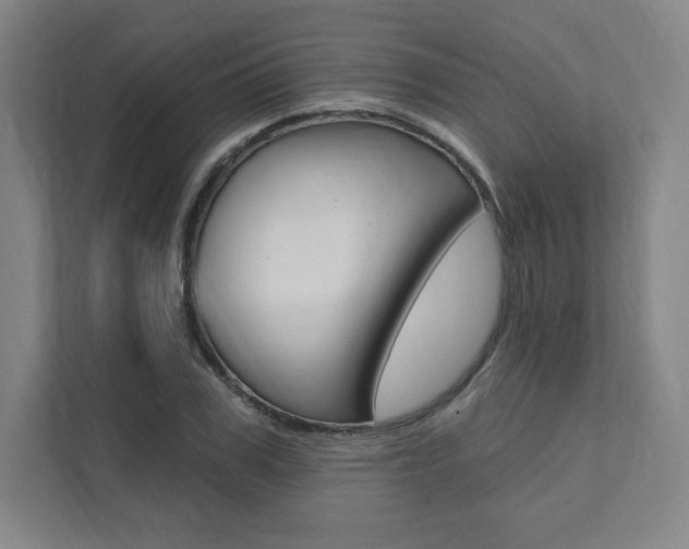 X0000112030979200908031019