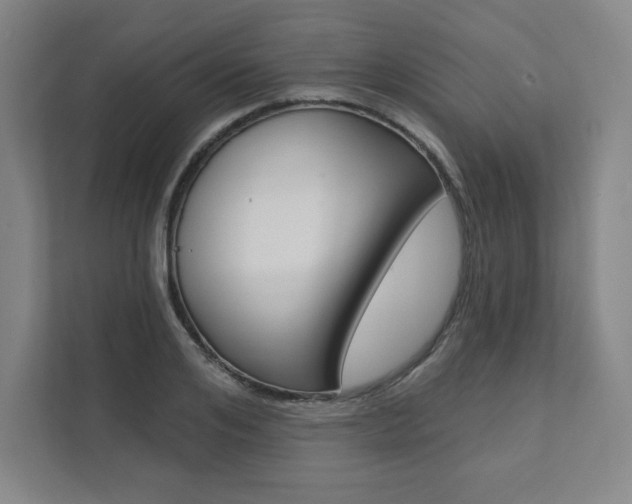 X0000112030984200908031019