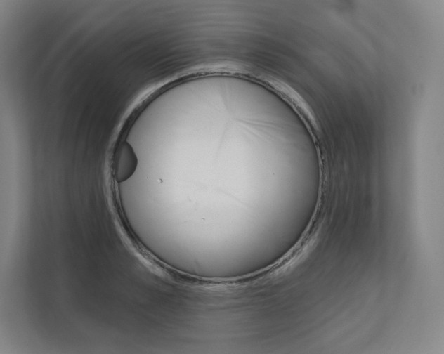 X0000112030989200908031019