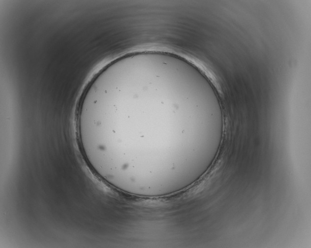 X0000112030998200908031018