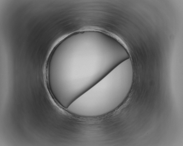 X0000112031003200908031018