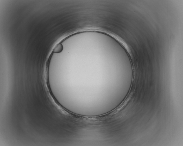 X0000112031006200908031018