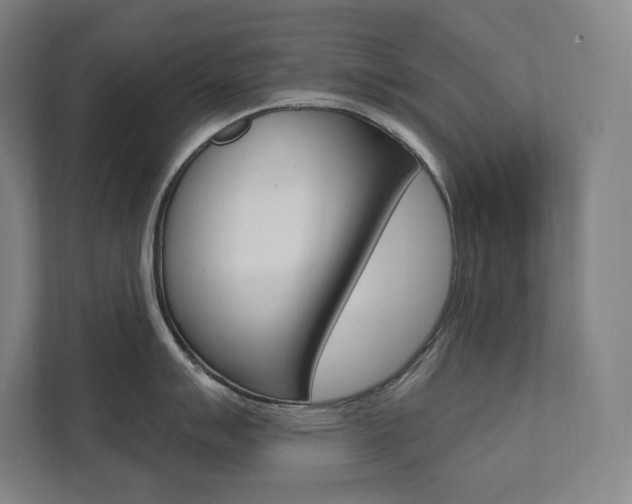 X0000112031007200908031018
