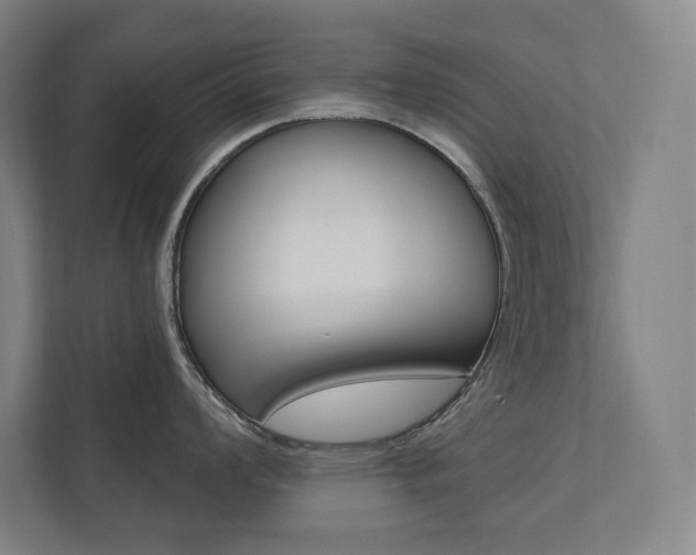 X0000112031008200908031018