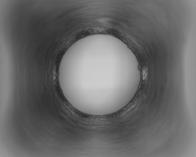 X0000112031011200908031018
