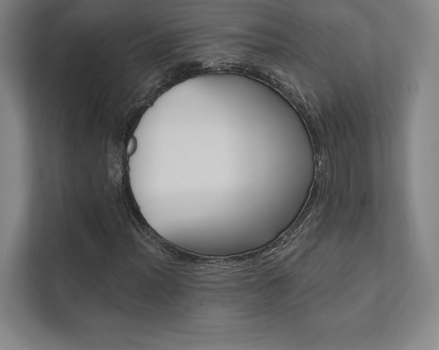 X0000112031012200908031018