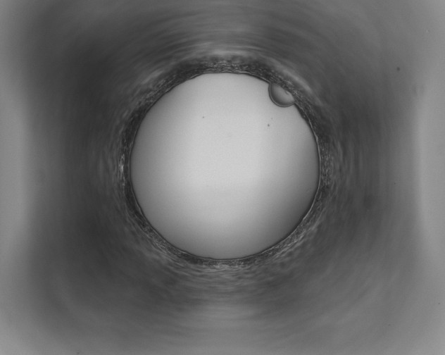 X0000112031013200908031018