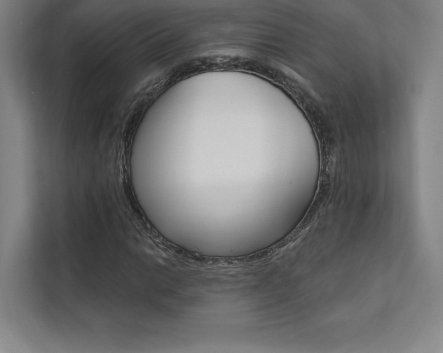 X0000112031014200908031018