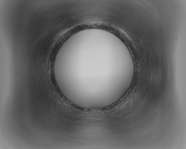 X0000112031016200908031018