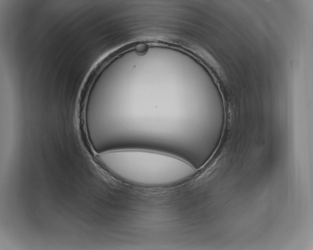 X0000112031020200908031018