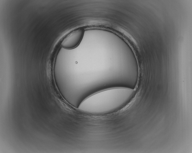 X0000112031021200908031018