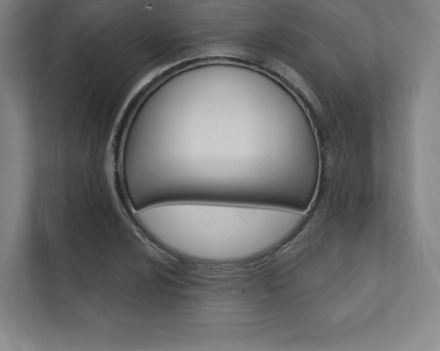 X0000112031024200908031018