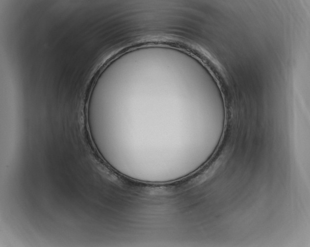 X0000112031025200908031018