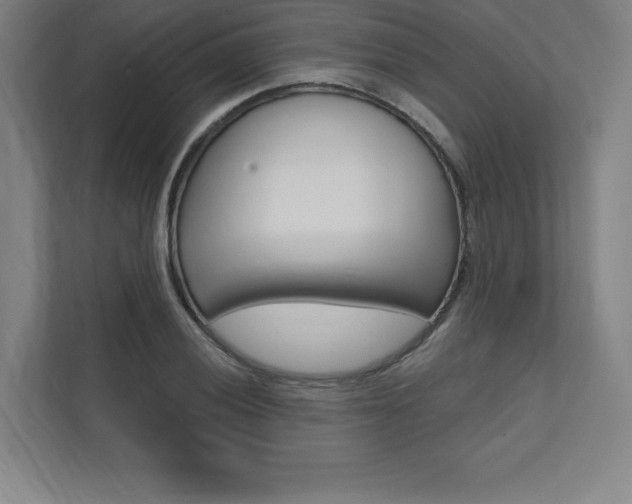 X0000112031028200908031018