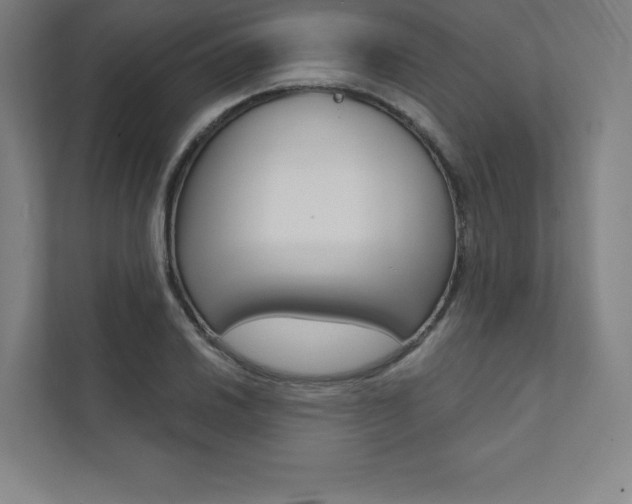 X0000112031030200908031018