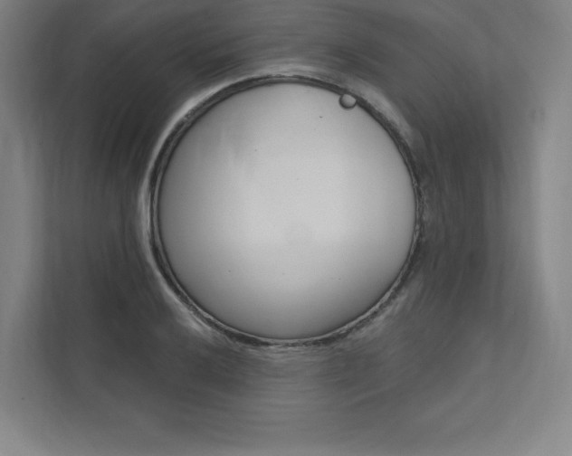X0000112031032200908031018