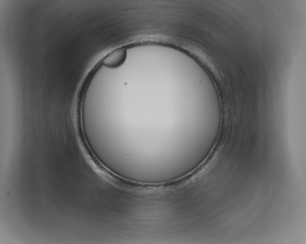 X0000112031038200908031018