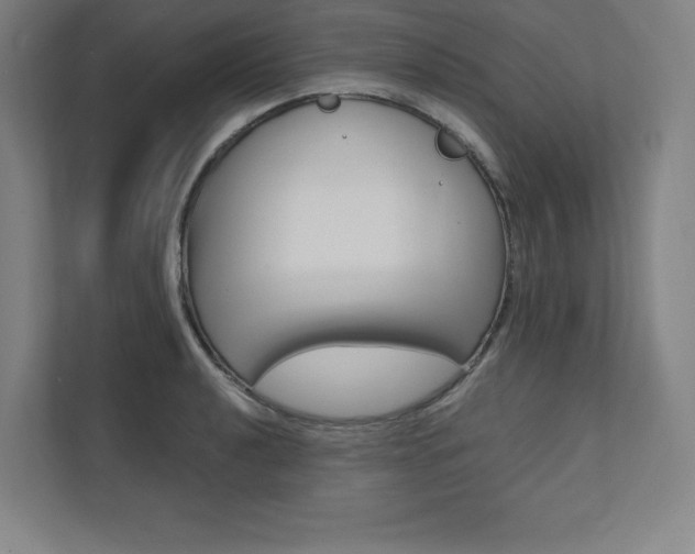 X0000112031040200908031018