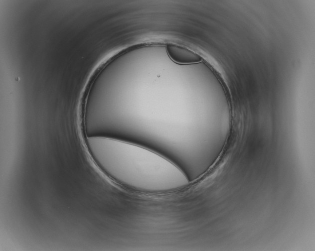 X0000112031045200908031018