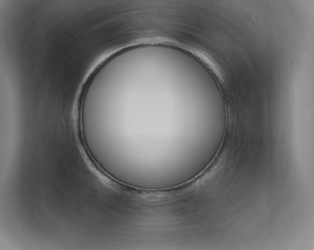 X0000112031046200908031018