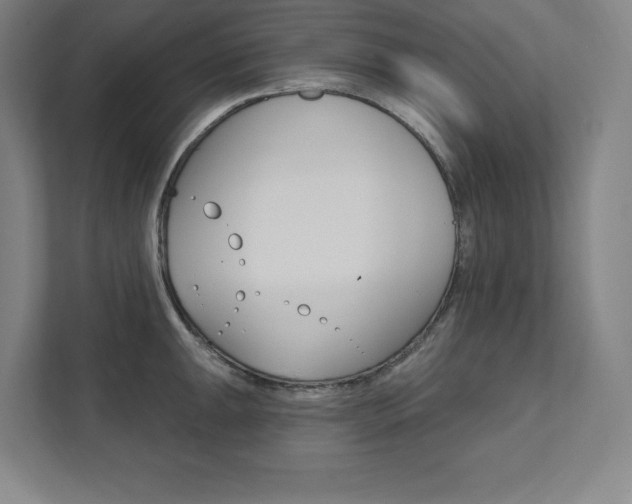 X0000112031047200908031018