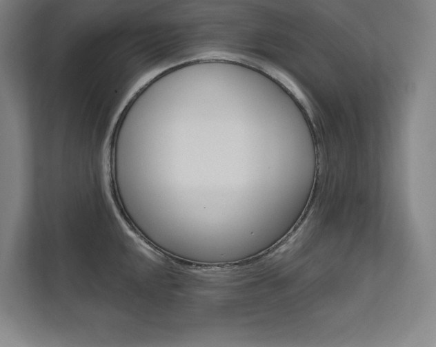 X0000112031048200908031018