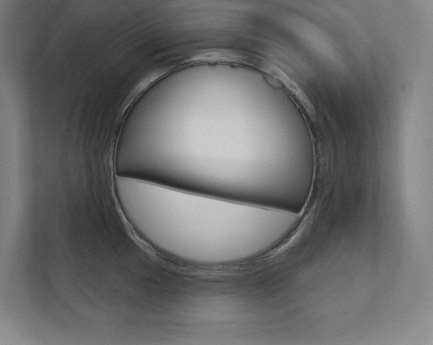 X0000112031049200908031018