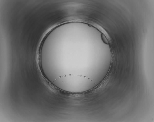 X0000112031051200908031018