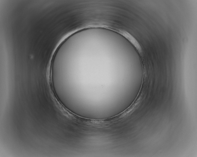 X0000112031052200908031018