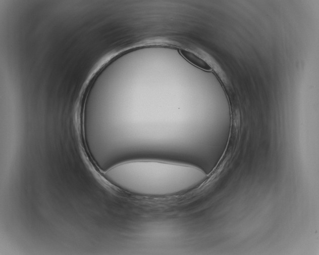 X0000112031054200908031018