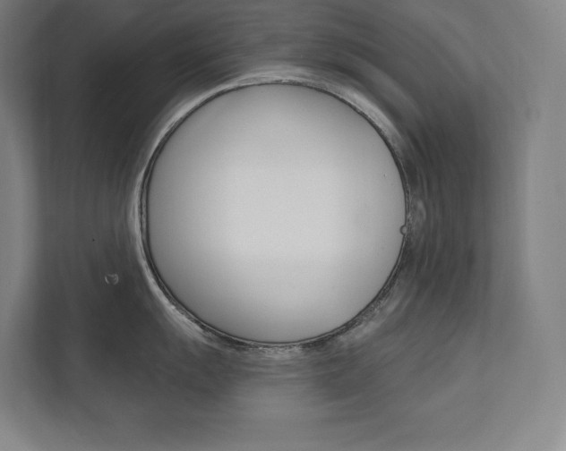X0000112031055200908031018