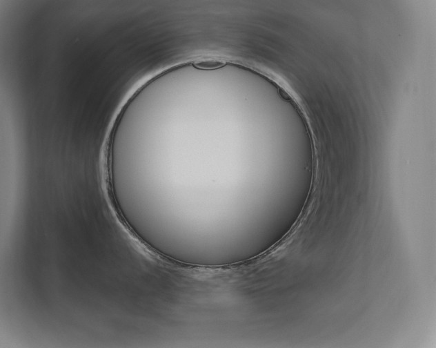 X0000112031056200908031018