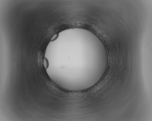 X0000112031058200908031018