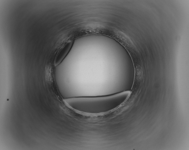 X0000112031060200908031018