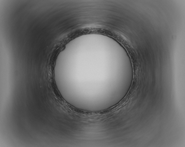 X0000112031062200908031018