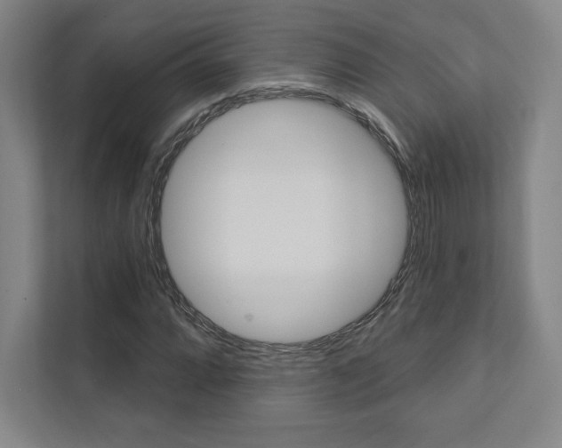X0000112031064200908031018