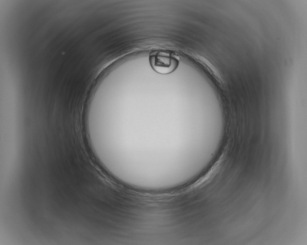 X0000112031065200908031018