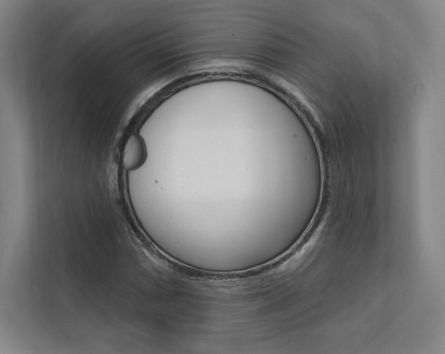 X0000112031066200908031018