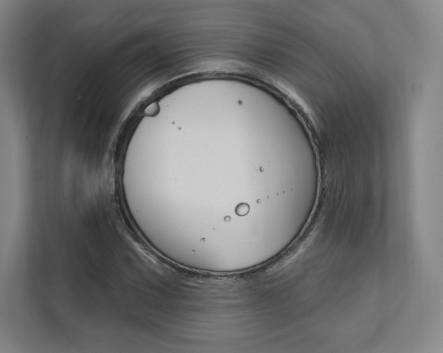 X0000112031067200908031017