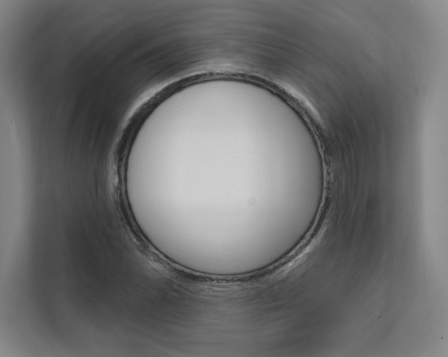 X0000112031070200908031017