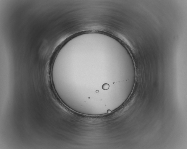 X0000112031071200908031017