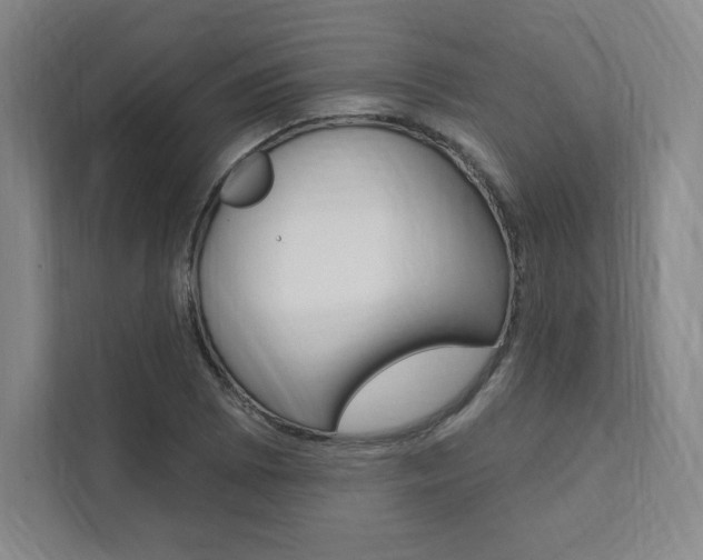 X0000112031073200908031017