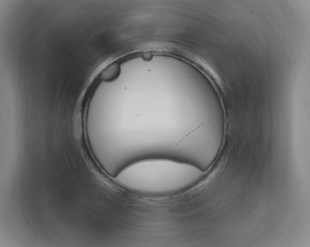 X0000112031075200908031017